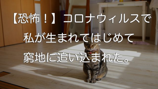 【恐怖!】コロナウィルスで私が生まれてはじめて窮地に追い込まれた。