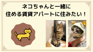ペット可でもネコは不可?賃貸物件探しは難しい